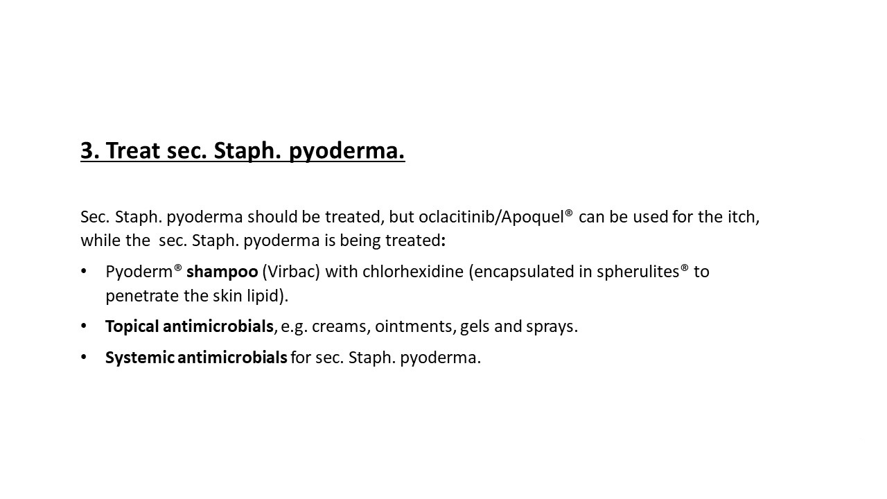Pruritic_Dog_Webinar_Slide_27.jpg